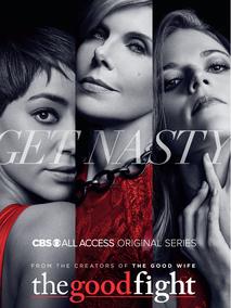 傲骨之战第一季海报