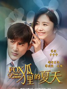 狐狸的夏天第二季海报