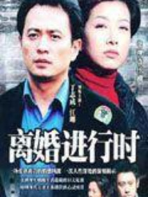 离婚进行时