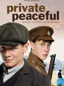 柑橘与柠檬啊分集剧情介绍(1-集)大结局