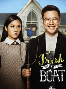 初来乍到第一季海报