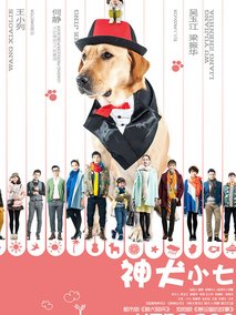 神犬小七第一季海报